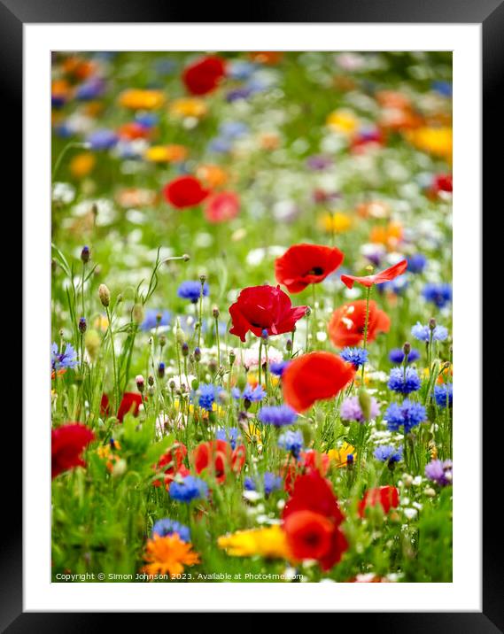 wild flower field with Poppies Framed Mounted Print by Simon Johnson