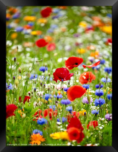wild flower field with Poppies Framed Print by Simon Johnson