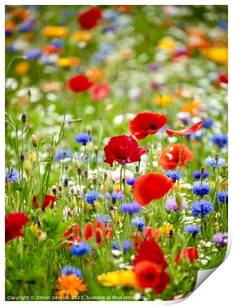 wild flower field with Poppies Print by Simon Johnson