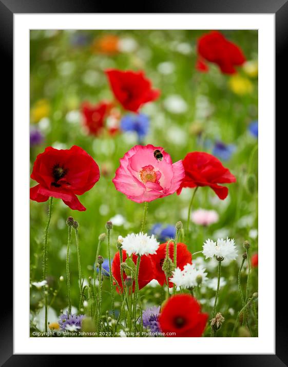 wild flower meadows with poppies and bee Framed Mounted Print by Simon Johnson