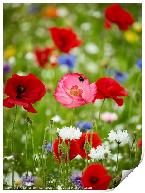 wild flower meadows with poppies and bee Print by Simon Johnson