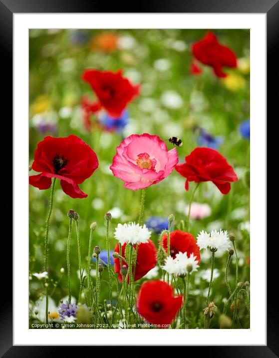 wild flowers and Poppies Framed Mounted Print by Simon Johnson