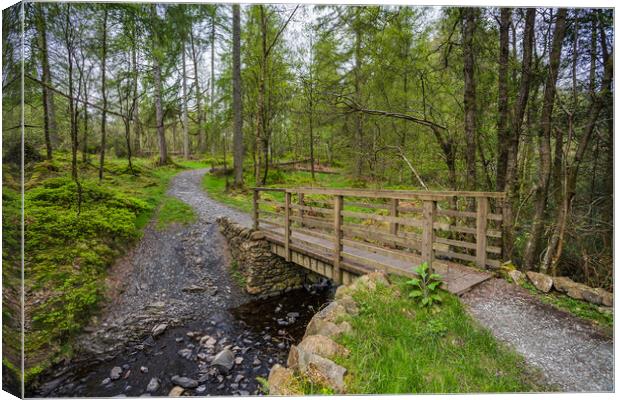 Footbridge over a stream in the Lake District Canvas Print by Jason Wells