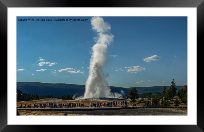 Old Faithful  Framed Mounted Print by Ron Ella
