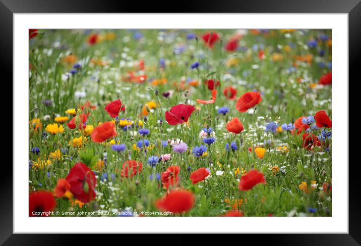 poppy and wild flower meadow field Framed Mounted Print by Simon Johnson
