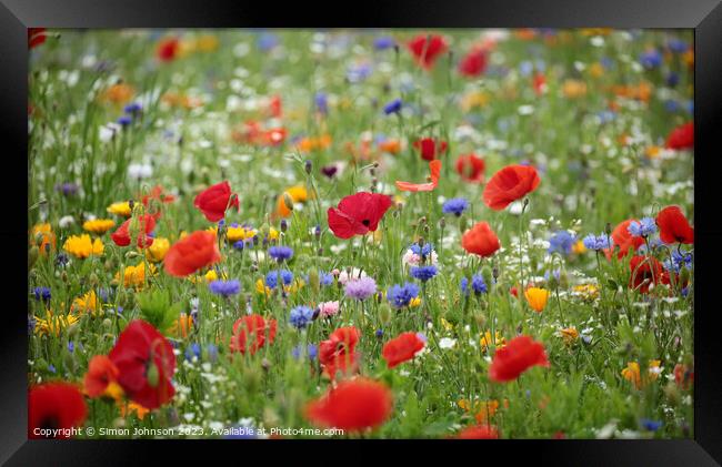 poppy and wild flower meadow field Framed Print by Simon Johnson