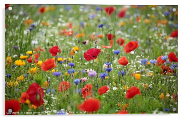 poppy and wild flower meadow field Acrylic by Simon Johnson