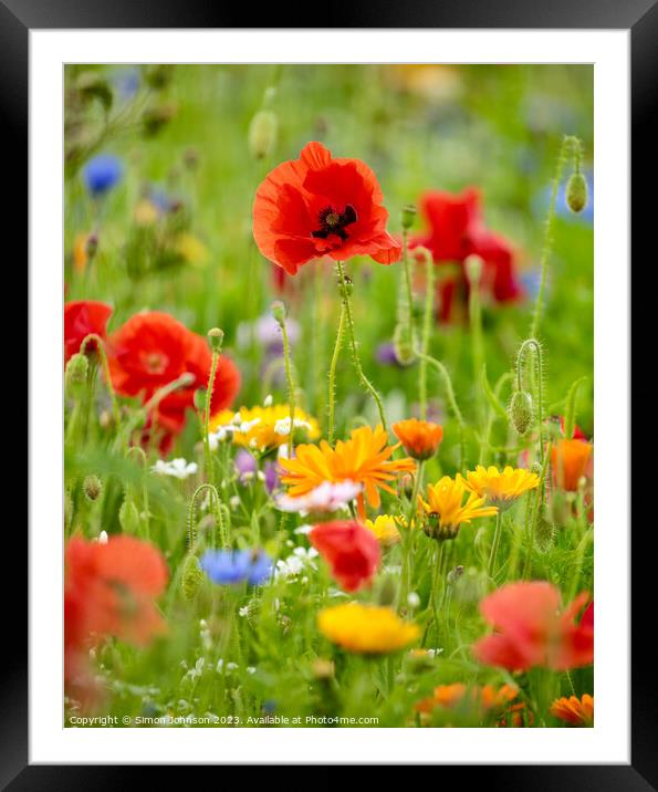 Poppies and wild flowers Framed Mounted Print by Simon Johnson