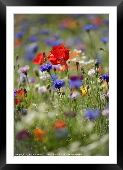 wild flowers Framed Mounted Print by Simon Johnson