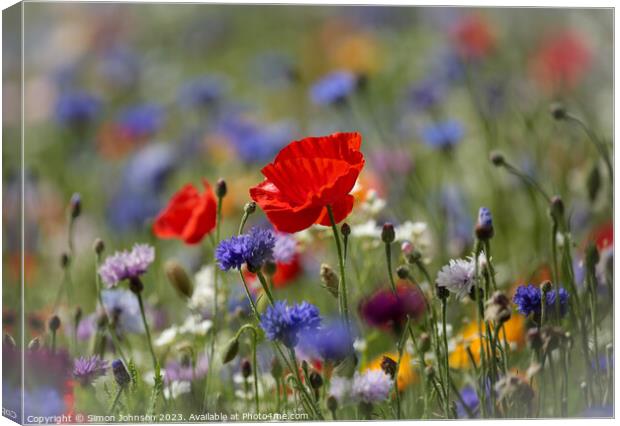 Poppy in wild flower meadow flower Canvas Print by Simon Johnson