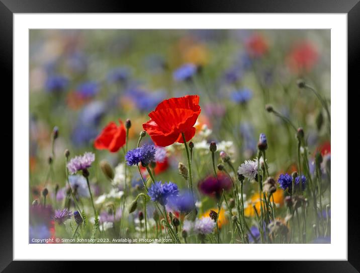 Poppy in wild flower meadow flower Framed Mounted Print by Simon Johnson