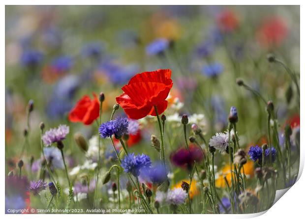 Poppy in wild flower meadow flower Print by Simon Johnson