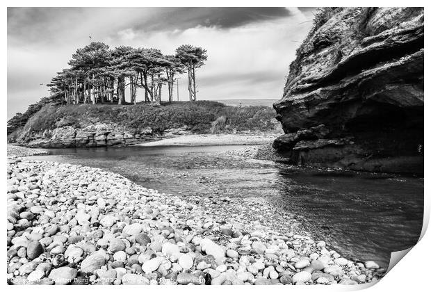 Scots Pine in Budleigh by River Otter Print by Adrian Burgess
