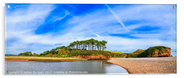 Otter Estuary at Budleigh Salterton, Devon Acrylic by Adrian Burgess