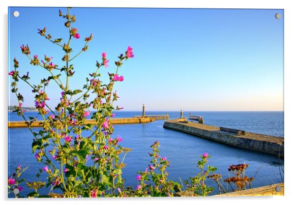 Whitby Piers Acrylic by Steve Smith