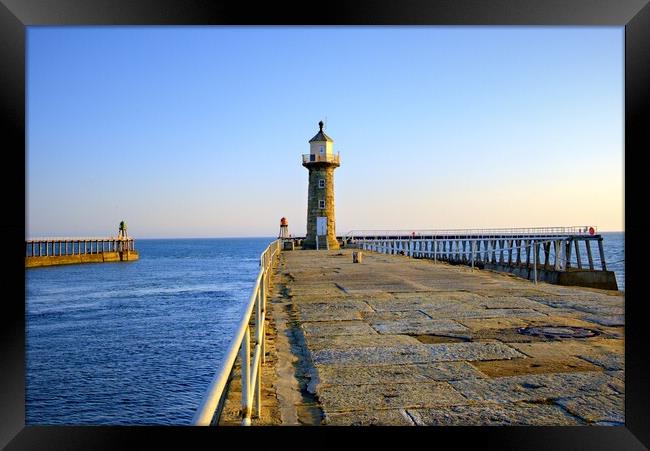 East Pier Whitby Framed Print by Steve Smith