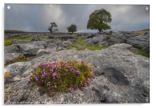 Outdoor stonerock Acrylic by Neil Holman