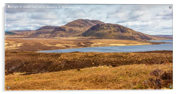 Highland Hillsides Acrylic by David Hare