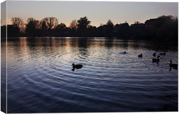 Sunset On Diss Mere Canvas Print by Darren Burroughs