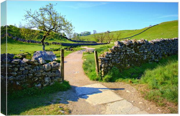 Gateway To Malham Cove Canvas Print by Steve Smith