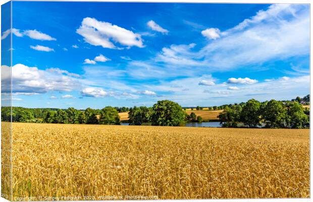 Summer rural landscape with wheat fields Canvas Print by Sergey Fedoskin
