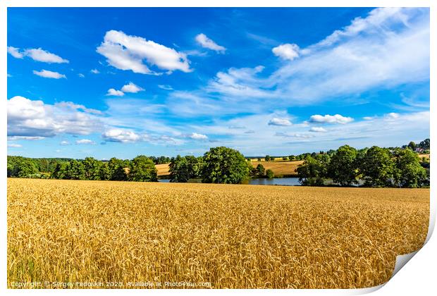 Summer rural landscape with wheat fields Print by Sergey Fedoskin