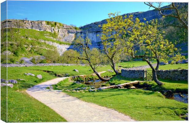 Malham Cove Canvas Print by Steve Smith