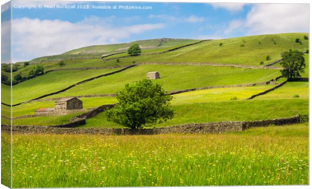 Wildflower Meadow Yorkshire Countryside Canvas Print by Pearl Bucknall
