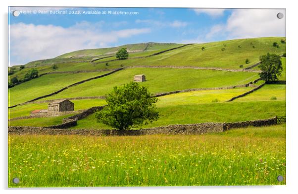 Wildflower Meadow Yorkshire Countryside Acrylic by Pearl Bucknall