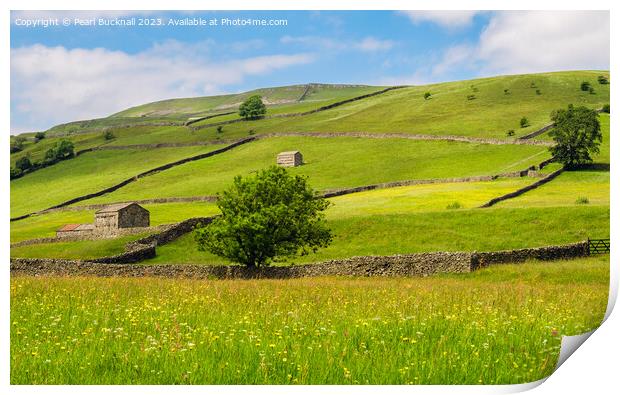 Wildflower Meadow Yorkshire Countryside Print by Pearl Bucknall