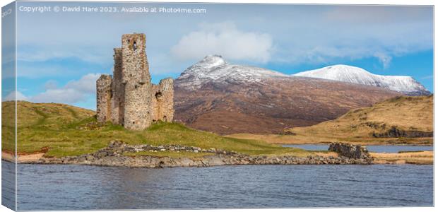 Ardvreck Castle Canvas Print by David Hare