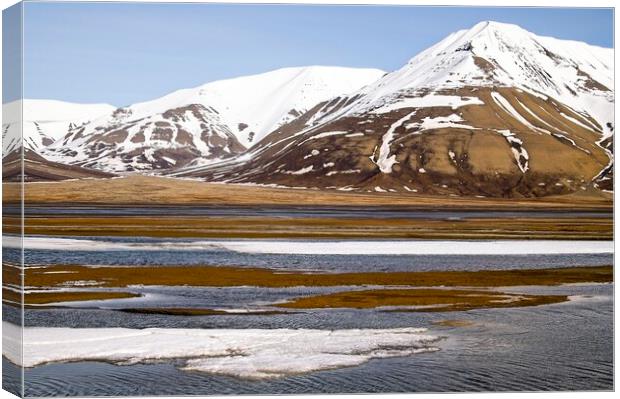 Mountains & Tundra on Arctic Spitsbergen Canvas Print by Martyn Arnold