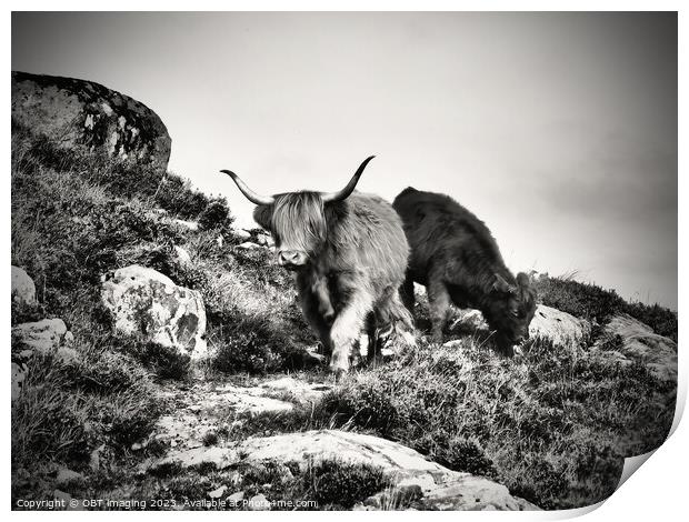 Highland Cow Highland Coo Scottish Highlands  Print by OBT imaging