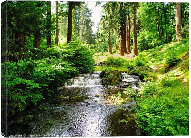 Enchanting Dartmoor Woodland Stream Canvas Print by Roger Mechan