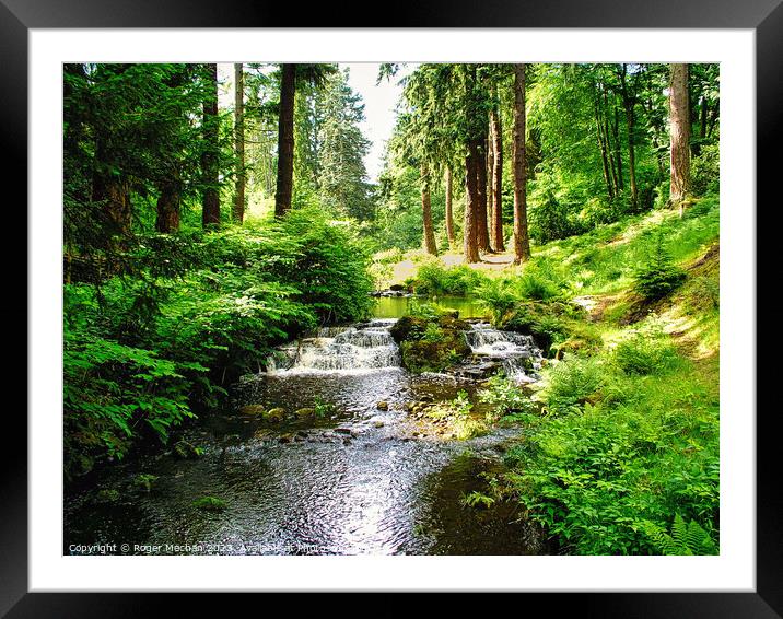 Enchanting Dartmoor Woodland Stream Framed Mounted Print by Roger Mechan