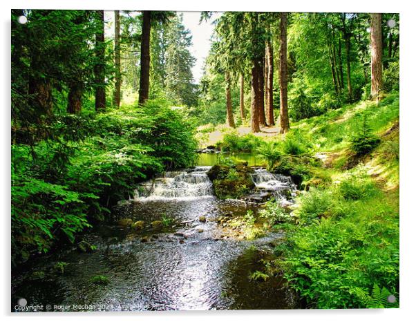 Enchanting Dartmoor Woodland Stream Acrylic by Roger Mechan