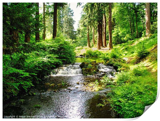 Enchanting Dartmoor Woodland Stream Print by Roger Mechan