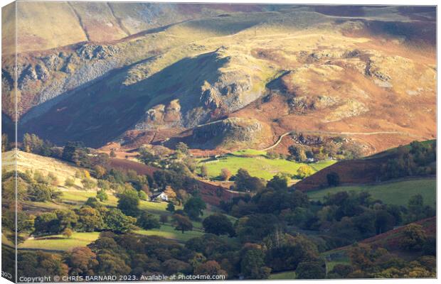 Martindale Valley Lake District Canvas Print by CHRIS BARNARD