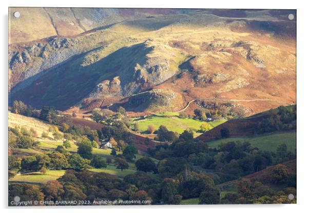 Martindale Valley Lake District Acrylic by CHRIS BARNARD
