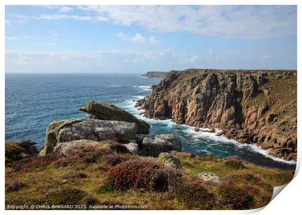 Heather At Gwennap Head Print by CHRIS BARNARD