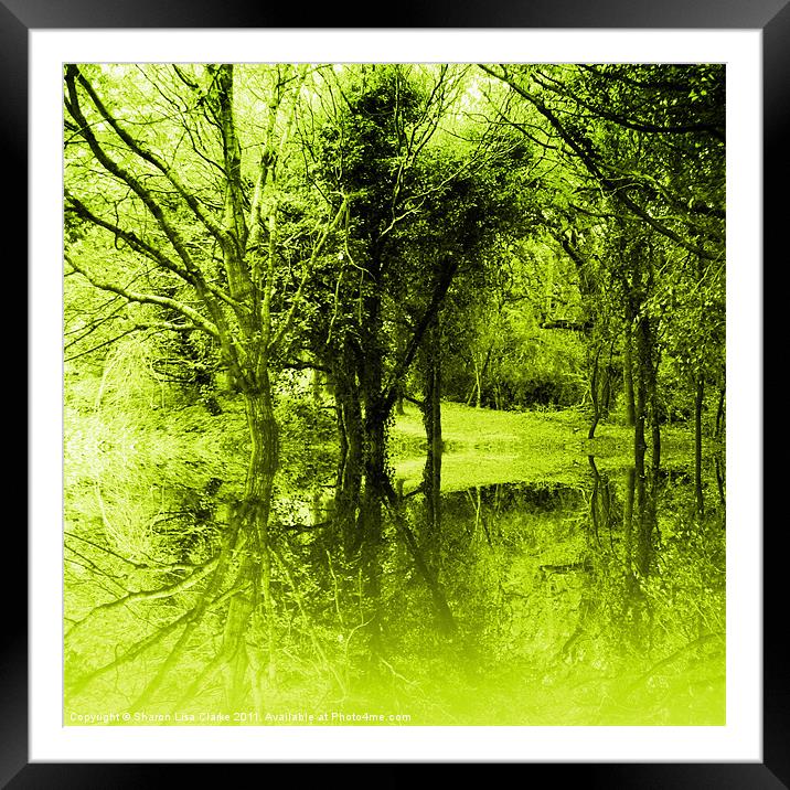 Lime Trees Framed Mounted Print by Sharon Lisa Clarke