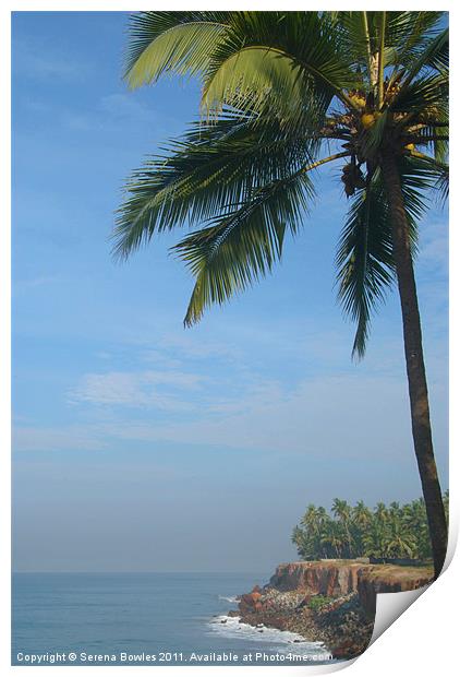 Palm Trees on the Cliff Varkala Print by Serena Bowles