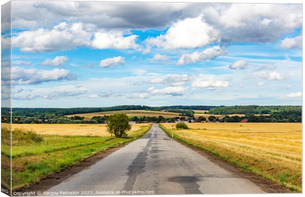 Summer rural landscape with a road among the fields Canvas Print by Sergey Fedoskin