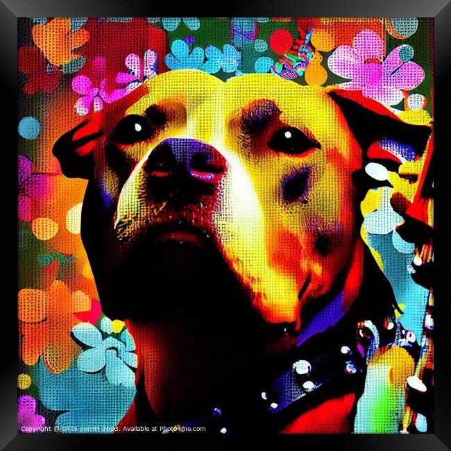 SUMMER OF LOVE PIT BULL 2 Framed Print by OTIS PORRITT