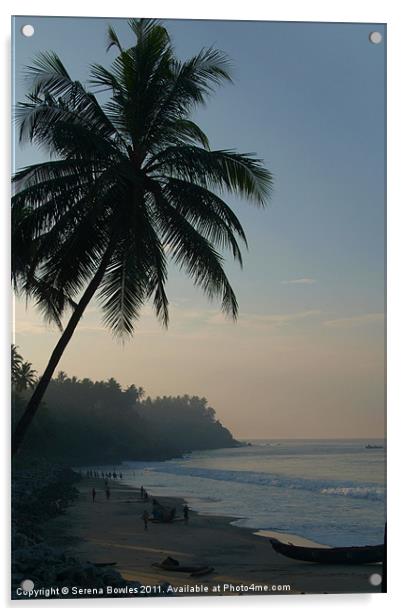 Palm Trees and Varkala Beach, Kerala, India Acrylic by Serena Bowles