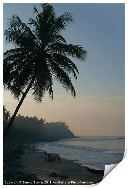 Palm Trees and Varkala Beach, Kerala, India Print by Serena Bowles