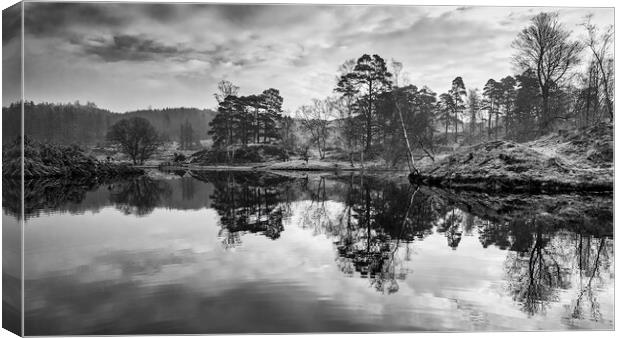 Tarn Hows Reflections Canvas Print by Tim Hill