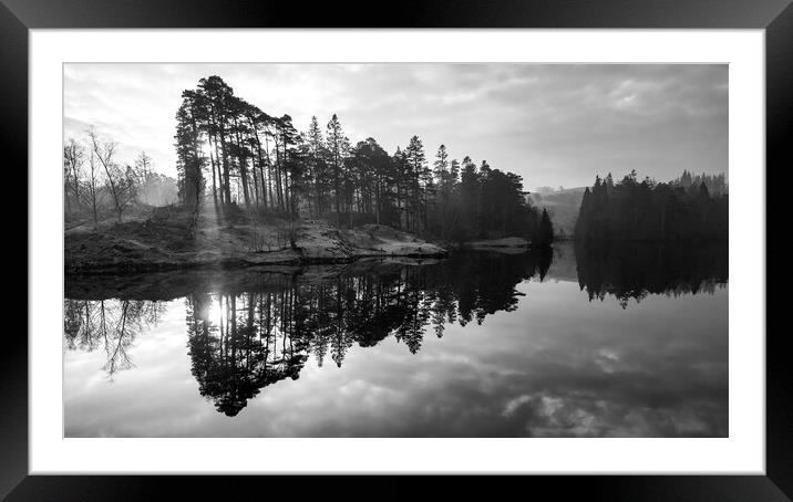 Tarn Hows Sunrise Black and White Framed Mounted Print by Tim Hill