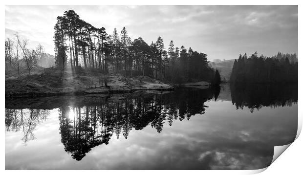 Tarn Hows Sunrise Black and White Print by Tim Hill