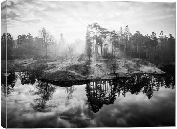 Tarn Hows Sunrise Black and White Canvas Print by Tim Hill